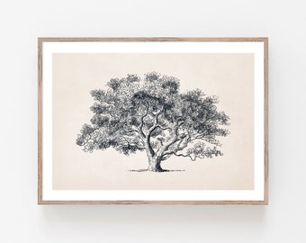 Oak Tree Drawing Etsy Oak Tree Drawing Etsy