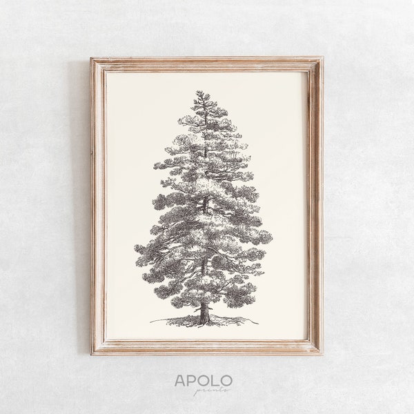 Black Pine Tree Print, Vintage Tree Drawing Enhanced, Printable Tree Art, Downloadable Print