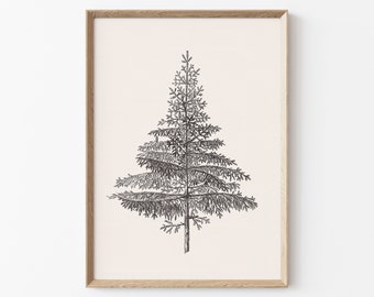 May include: A black and white line drawing of a pine tree on a cream background. The drawing is framed in a light wood frame. The text "APOLO prints" is at the bottom of the image.