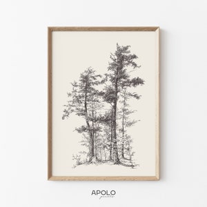 Può includere: Un disegno a penna in bianco e nero incorniciato di diversi pini alti. L'opera d'arte è ambientata su uno sfondo color crema ed è racchiusa in una cornice di legno marrone chiaro. Il nome dell'artista, "APOLO prints", è stampato in basso.