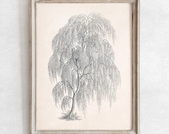 Tree Sketch Print, Printable Willow Tree Art, Vintage Drawing Enhanced, Downloadable Print, Farmhouse Digital Print