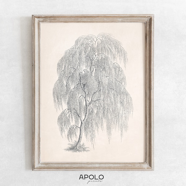 Tree Sketch Print, Printable Willow Tree Art, Vintage Drawing Enhanced, Downloadable Print, Farmhouse Digital Print