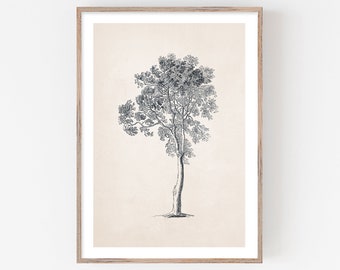 Ash Tree Sketch Print, Printable Tree Art, Vintage Drawing Enhanced, Neutral Wall Art