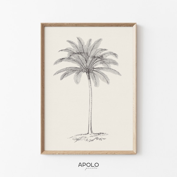 Palm Tree Sketch Print no. 8, Vintage Drawing Enhanced, Printable Tree Art, Farmhouse Digital Print, Boho Wall Art