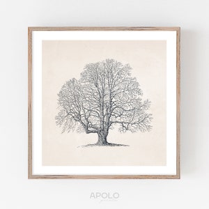 Vintage Winter Tree Sketch: Enhanced Neutral Farmhouse Art (Digital Download)