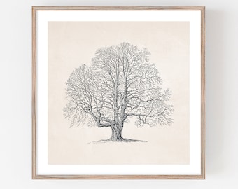 Winter Tree Sketch, Printable Tree Art, Vintage Drawing Enhanced, Neutral Wall Art, Farmhouse Decor