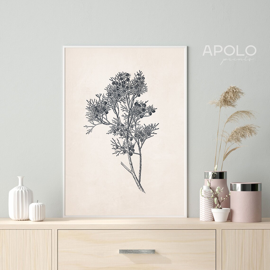 Juniper Branch Botanical Print Vintage Sketch Illustration Etsy