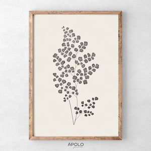Maidenhair Fern Print, Adiantum Leaf, Vintage Botanical Drawing Enhanced, Printable Digital Art