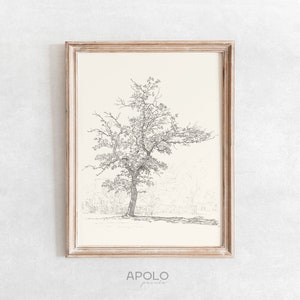 Maple Tree Sketch Print, Vintage Farmhouse Drawing Enhanced, Printable Wall Art, Digital Botanical Print