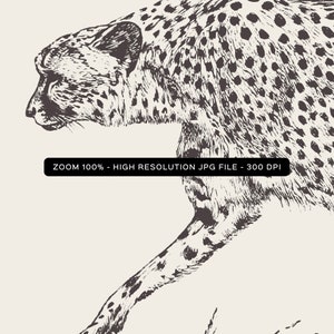 May include: Black and white line art illustration of a cheetah running. The cheetah is drawn in a realistic style with detailed fur markings.