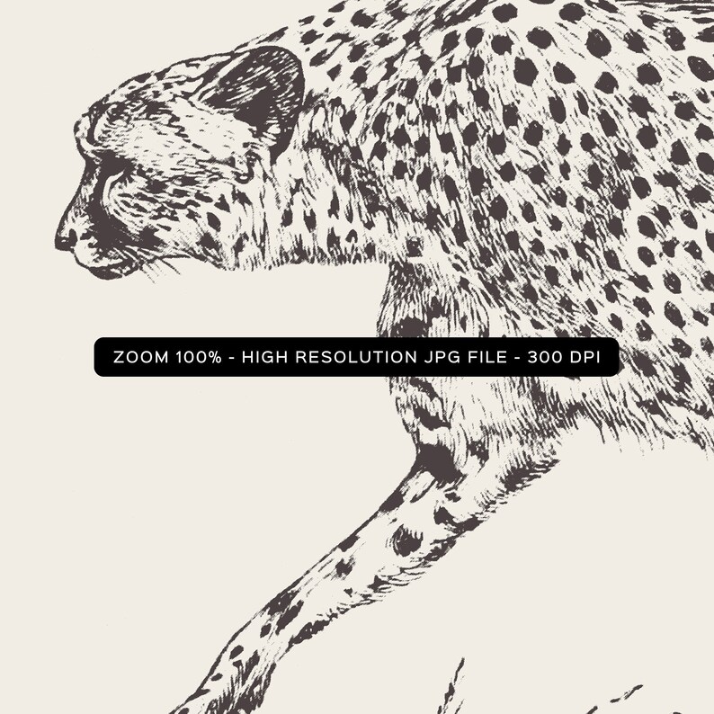 May include: Black and white line art illustration of a cheetah running. The cheetah is drawn in a realistic style with detailed fur markings.