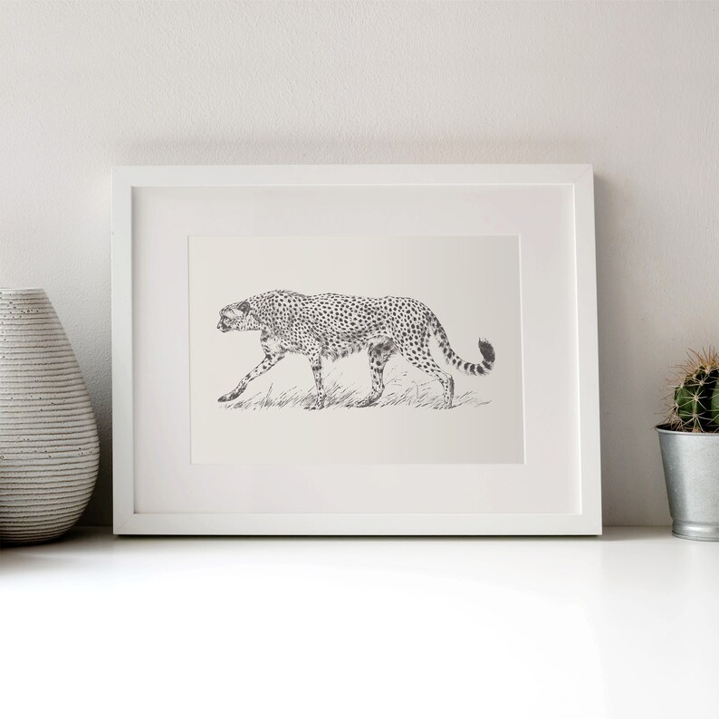 May include: A black and white line drawing of a cheetah walking through tall grass. The cheetah is depicted in profile, with its head turned slightly to the side. The drawing is framed in a white frame.