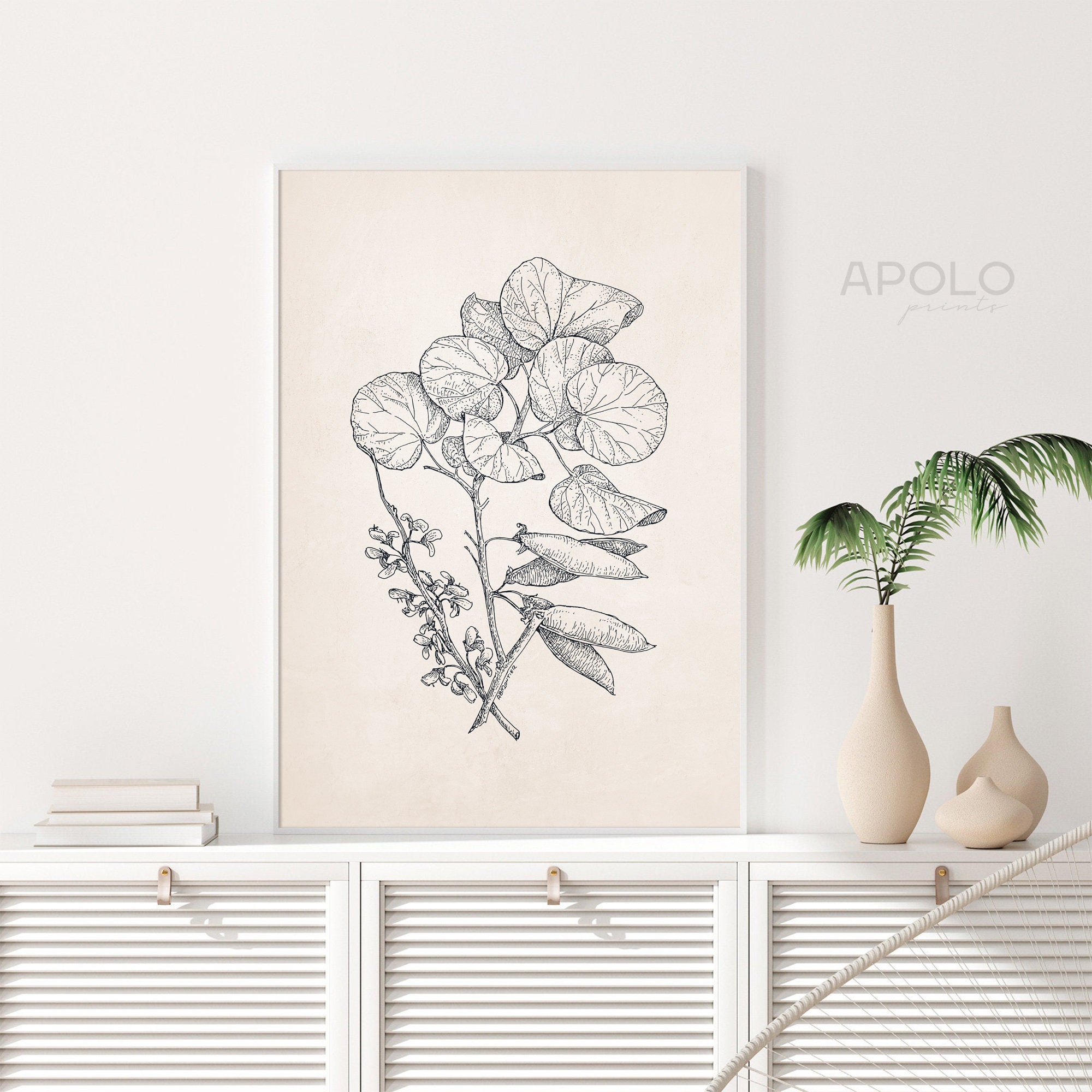 Western Redbud Botanical Print Vintage Drawing Enhanced - Etsy