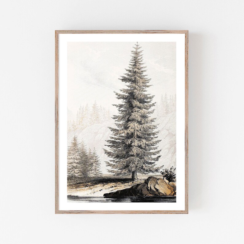 Fir Tree Landscape Print #01, Vintage Drawing Printable, Farmhouse Decor, Digital Download 画像 1