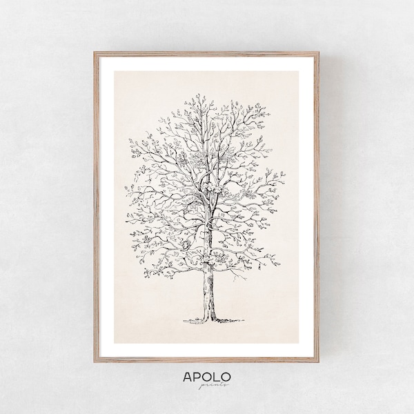 Autumn Tree Sketch, Printable Tree Art, Vintage Maple Tree Drawing Enhanced, Fall Digital Print