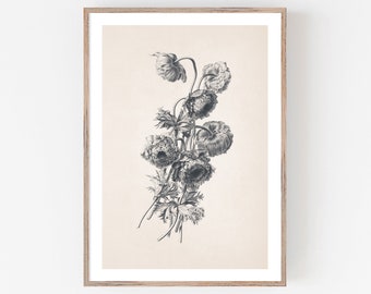 Double Anemone Flower Print, Windflower Drawing, Printable Art, Vintage Drawing Enhanced, Spring Neutral Art