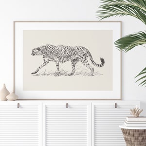 May include: A black and white illustration of a cheetah walking through tall grass. The cheetah is depicted in a realistic style with detailed markings.