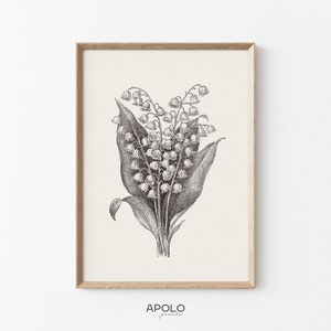 Lily of The Valley Print, Printable Vintage Botanical Drawing Enhanced, Neutral Wall Art, Farmhouse Decor