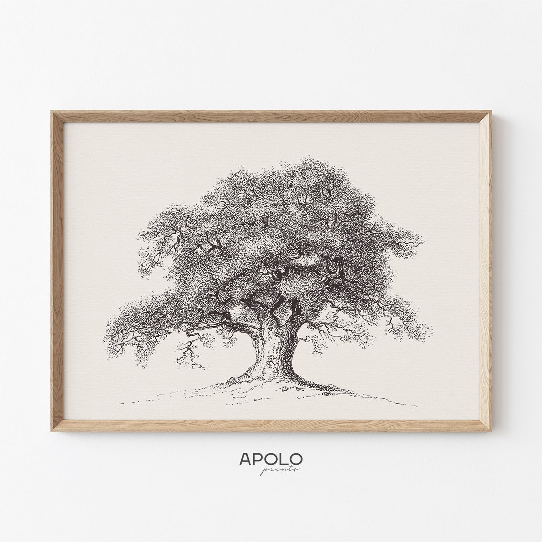 Spring Oak Tree Sketch, Printable Vintage Tree Drawing, Neutral Wall ...
