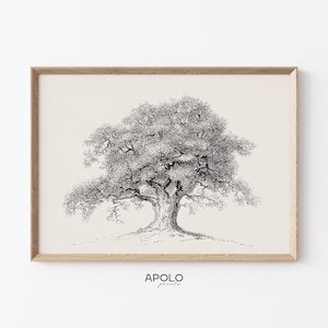 Spring Oak Tree Sketch, Printable Vintage Tree Drawing, Neutral Wall Art, Farmhouse Wall Decor