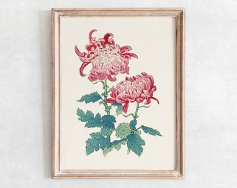 Chrysanthemum Flower Print, Japanese Art, Vintage Drawing Enhanced, Printable Flower Art, Digital Botanical Print V3-N08
