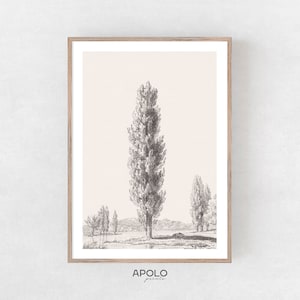 Cypress Tree Sketch, Printable Vintage Tree Drawing Enhanced, Neutral Wall Art, Farmhouse Digital Print