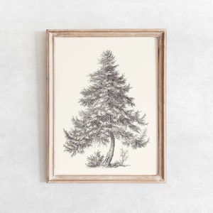 Larch Tree Sketch Print, Vintage Rustic Drawing Enhanced, Printable Wall Art, Digital Print