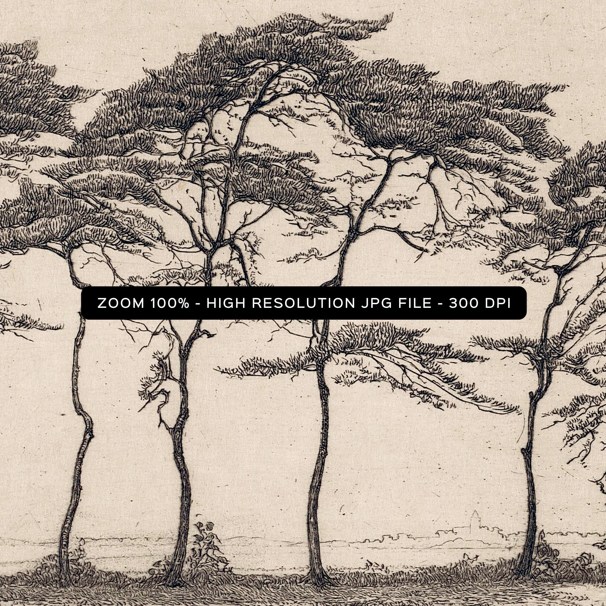 Tree Priint Pine Tree Landscape Print, Printable Tree Art, Vintage Tree Drawing ...