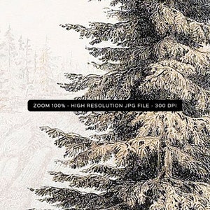 Fir Tree Landscape Print #01, Vintage Drawing Printable, Farmhouse Decor, Digital Download 画像 3