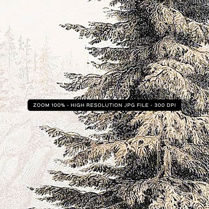 Fir Tree Landscape Print #01, Vintage Drawing Printable, Farmhouse Decor, Digital Download 画像 3