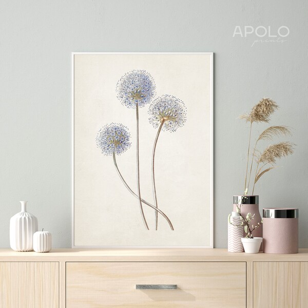 Garlic Blossoms Botanical Print, Printable Vintage Allium Flower Drawing Enhanced, Garlic Scapes Wall Art