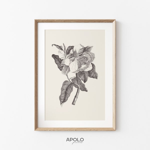 Magnolia Print - Etsy