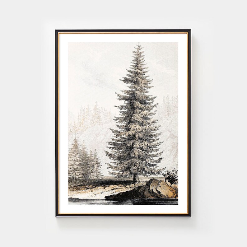 Fir Tree Landscape Print #01, Vintage Drawing Printable, Farmhouse Decor, Digital Download 画像 8