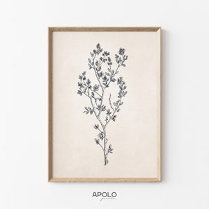Wildflower Print, Printable Neutral Wall Art, Vintage Botanical Drawing Enhanced, Farmhouse Digital Print