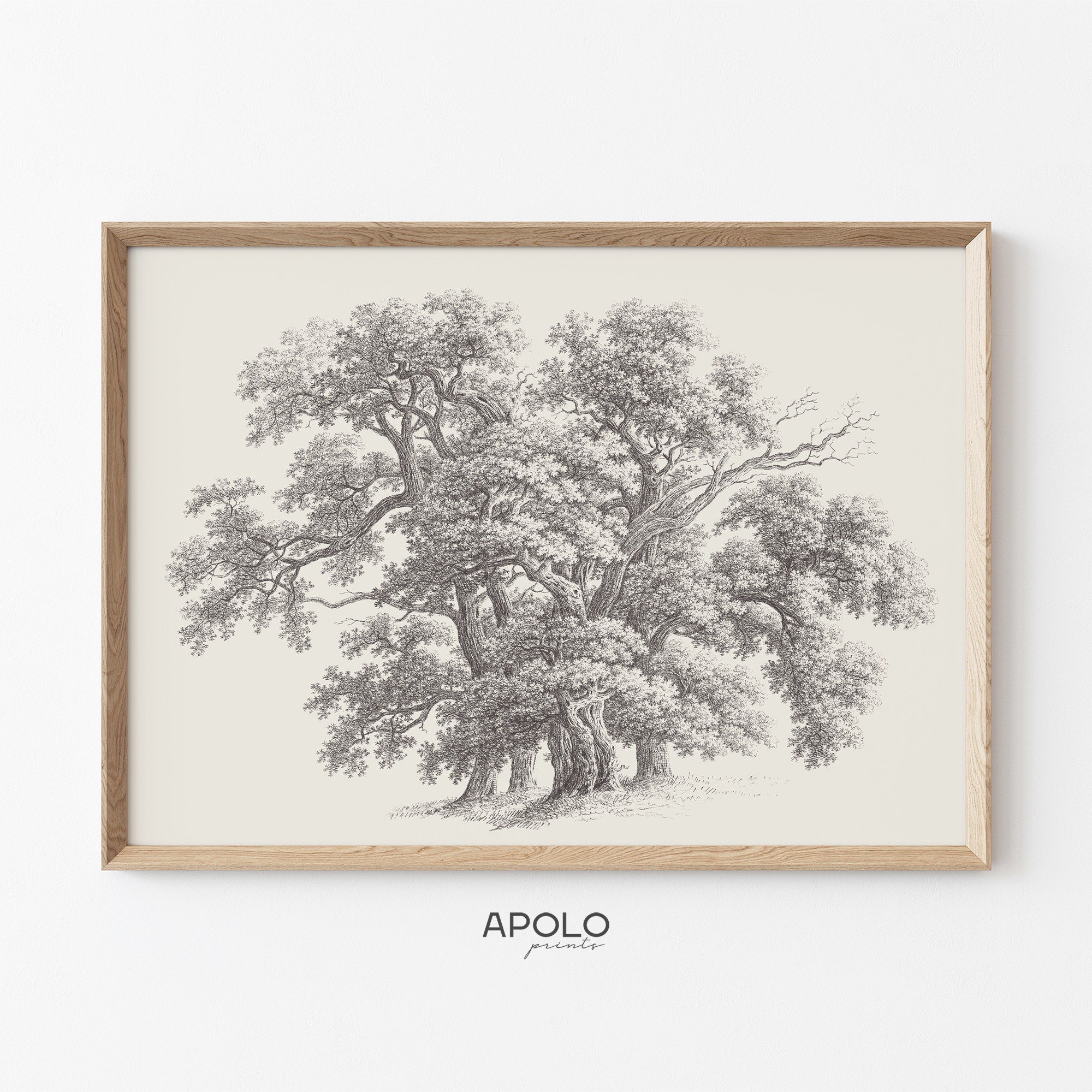 Oak Tree Sketch Print, Vintage Tree Group Drawing Enhanced, Printable Tree Art, Botanical Digital Print