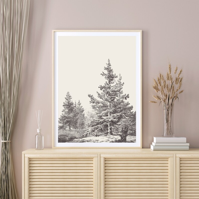 Op de afbeelding: Een ingelijste zwart-witprint van een bos sc&egrave;ne met drie dennenbomen. De print is op een licht beige achtergrond en is ingelijst in een licht houten lijst.