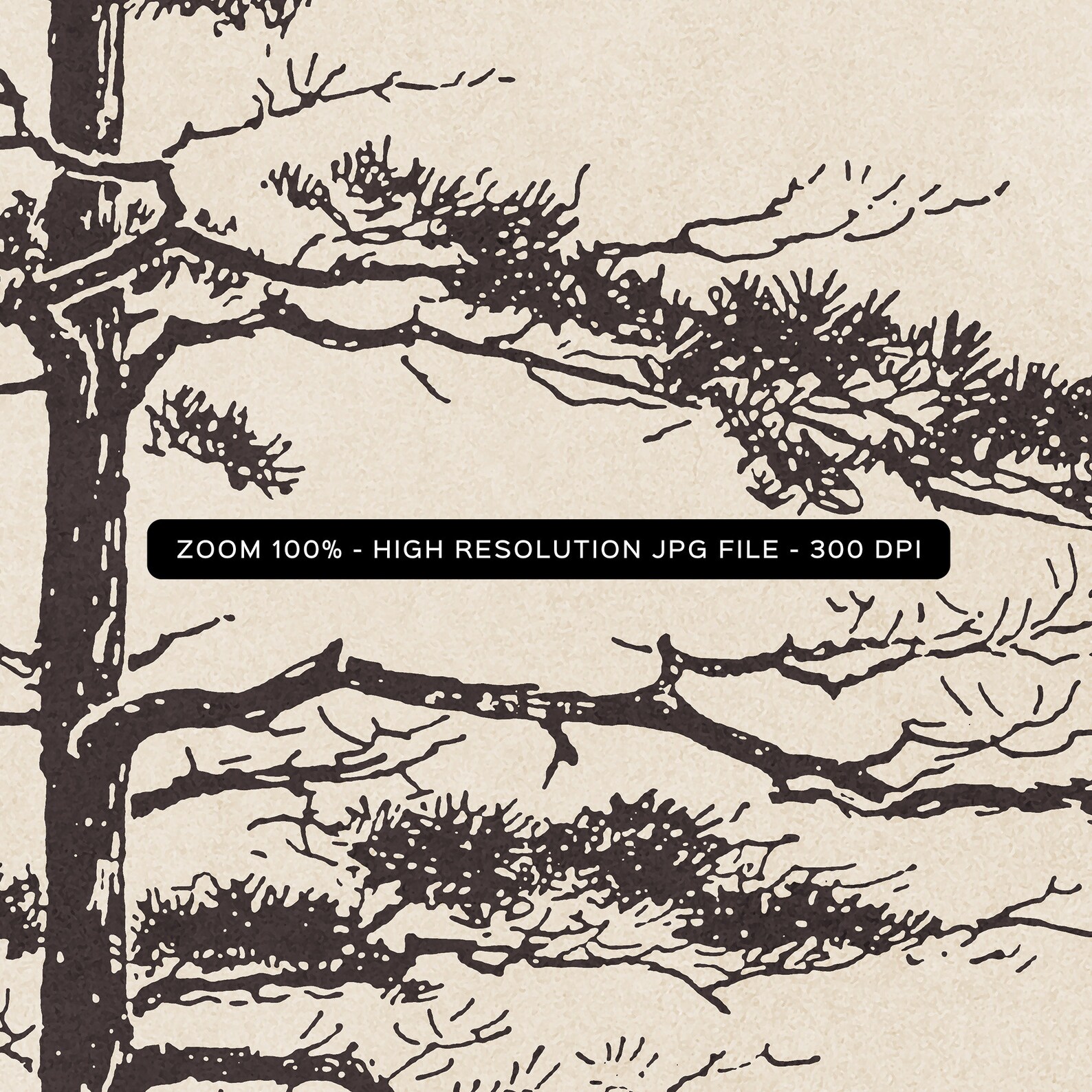 Pine Tree Branch No. 2, Printable Tree Art, Vintage Tree Sketch ...