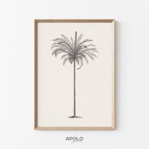 Palm Tree Sketch Print no. 4, Printable Wall Art, Botanical Digital Print, Vintage Drawing Enhanced, Downloadable Print