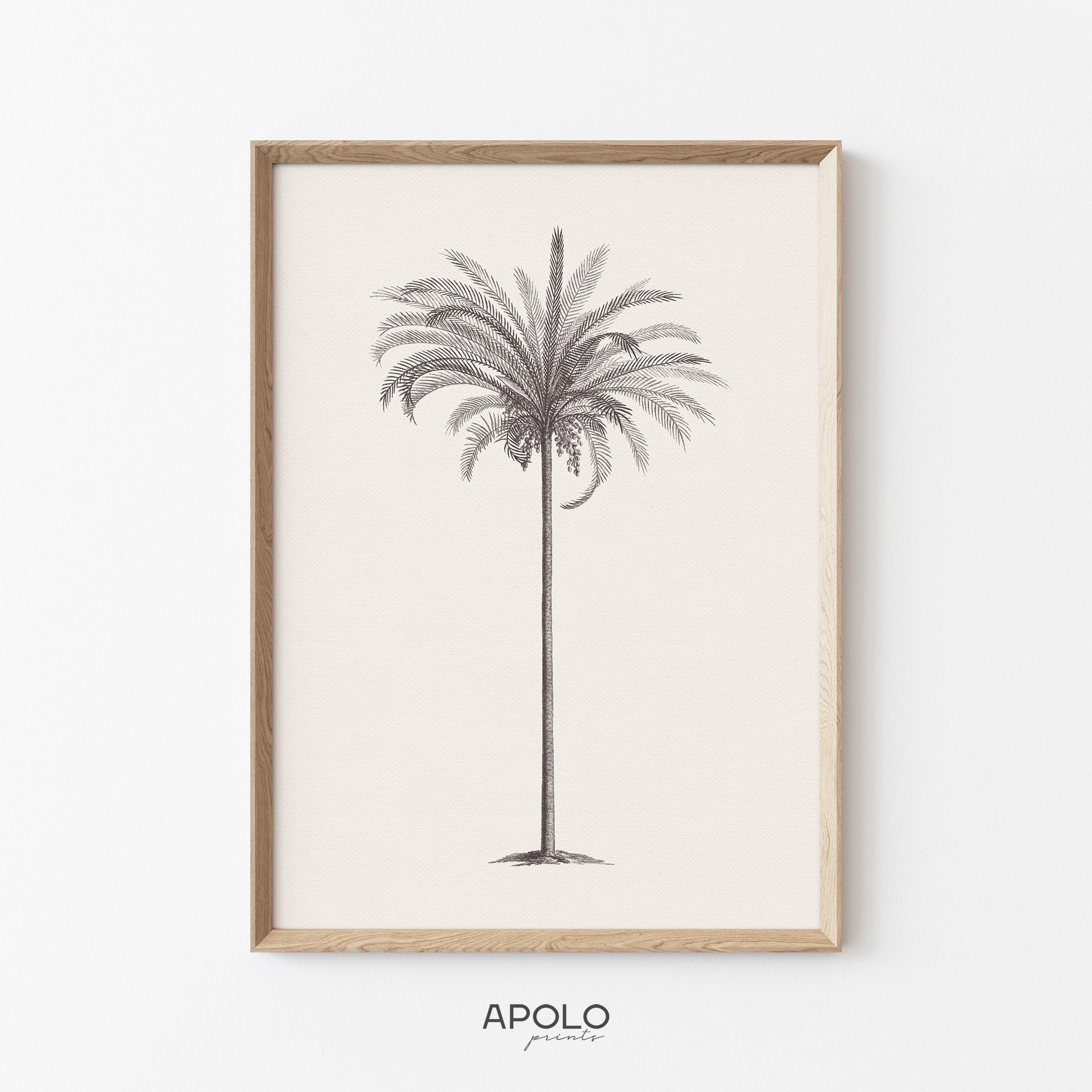 Vintage Palm Tree Sketch Print: Botanical Wall Art (Digital Download)