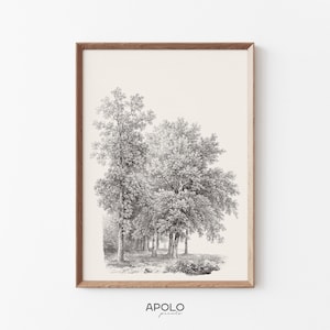 Little Forest Sketch Print, Printable Vintage Tree Drawing Enhanced, Farmhouse Digital Print