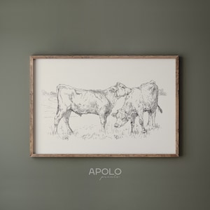 Cows Sketch Print, Farmhouse Wall Art, Vintage Drawing Enhanced, Neutral Printable Wall Art, Downloadable Print