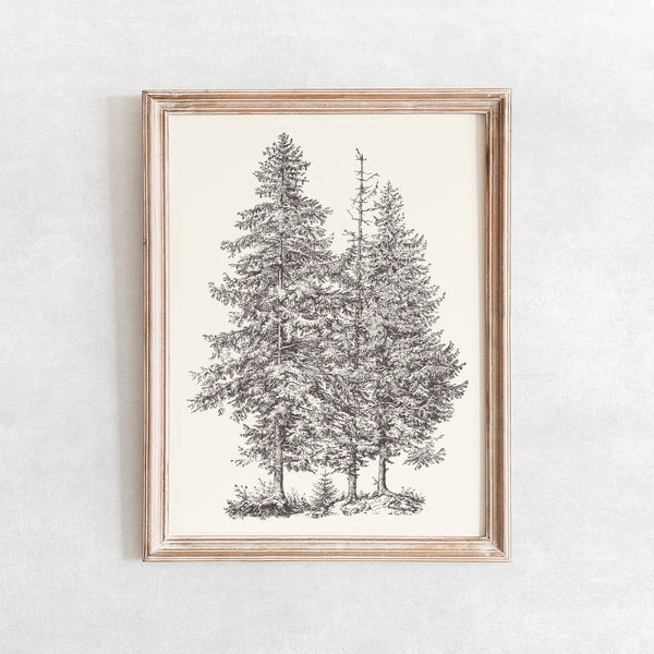 Norway Spruce Tree Sketch Print, Vintage Rustic Drawing Enhanced, Printable Wall Art, Digital Print