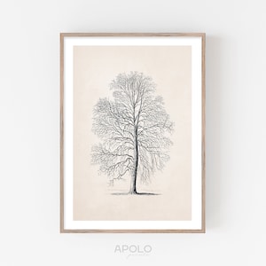 Ash Winter Tree Print, Sketch #08, Vintage Drawing Enhanced, Digital Printable Art