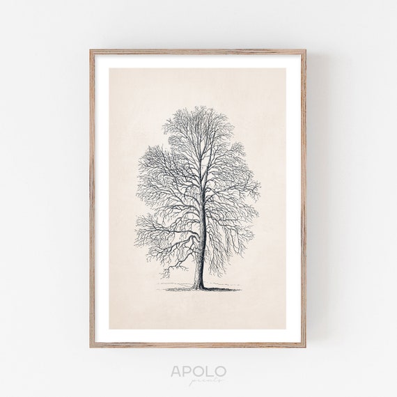 Tree Sketch 08 Tall Dry Tree Vintage Drawing Enhanced Etsy