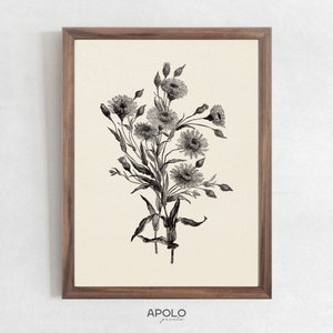 Aster Flower Sketch, Printable Wall Art, Vintage Botanical Drawing Enhanced, Spring Wall Art, Floral Digital Print