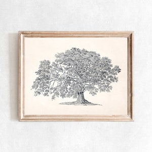 Spring Walnut Tree Sketch Print #60, Vintage Drawing Enhanced, Printable Digital Art, Farmhouse Wall Art