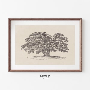 Wide Oak Tree Sketch Print, Printable Vintage Tree Drawing Enhanced, Downloadable Farmhouse Print