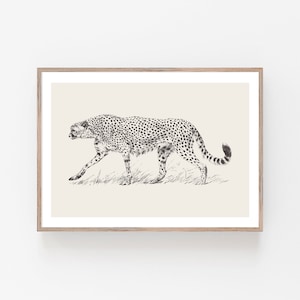 May include: A black and white line drawing of a cheetah walking through tall grass. The cheetah is facing left and has a spotted coat.