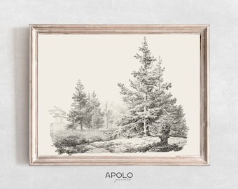 Hemlock Forest Sketch: Vintage Farmhouse Wall Art (Digital Print)