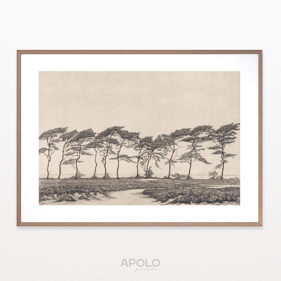 Pine Tree Landscape Print, Printable Tree Art, Vintage Tree Drawing
